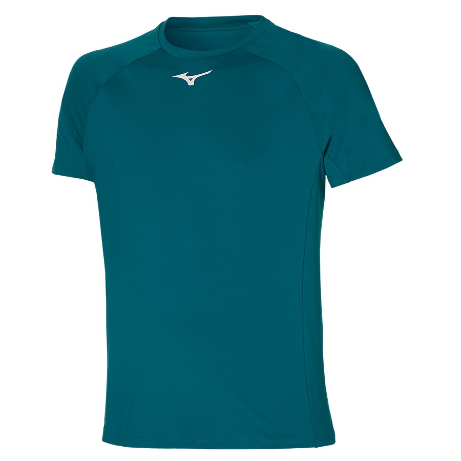 Blue Men's Mizuno Tee | Philippines-798315
